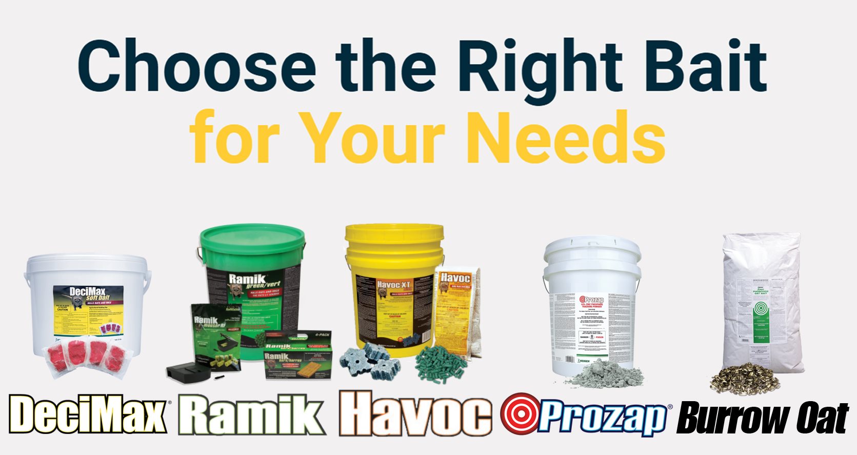 Choose the right bait Choose the right bait
