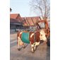 Cow lifting device PVC with carrying bag