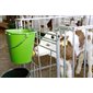 Plastic calf bucket 8 L with hygienic valve