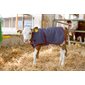 ThermosPlus calf blanket 70 cm