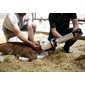 HK calf resuscitor