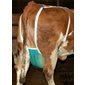 Udder support X-large