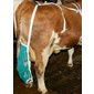 Udder support X-large