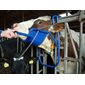 Vink Headrest for Cows