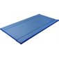 Tapis désinfectant Standard 180 x 90 x 4 cm