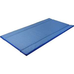 Disinfection Mat Standard 180 x 90 x 4 cm