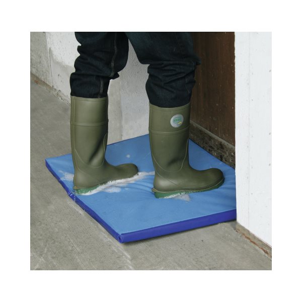 Entrance Disinfection Mat 85 x 60 x 3 cm