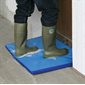 Entrance Disinfection Mat 55 x 45 x 3 cm