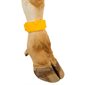 Euro Plastic leg band yellow blank