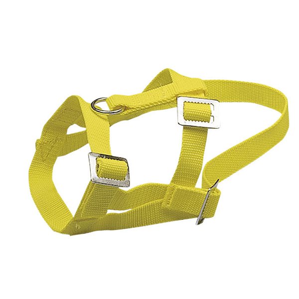 Adjustable nylon sheep halter