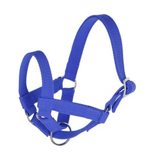 Adjustable nylon halter for lama