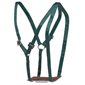 Ram marking harness nylon with buckle