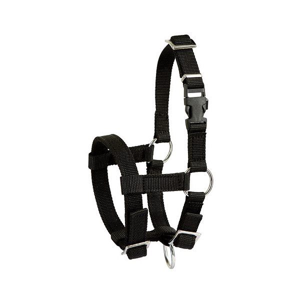 Adjustable nylon halter for alpaga