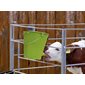 Plastic calf bucket 8 L with hygienic valve