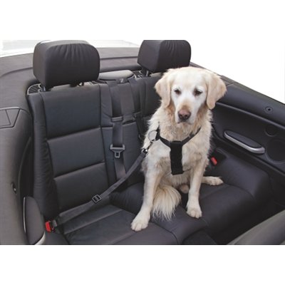 Car Dog Harness 50 - 70 cm