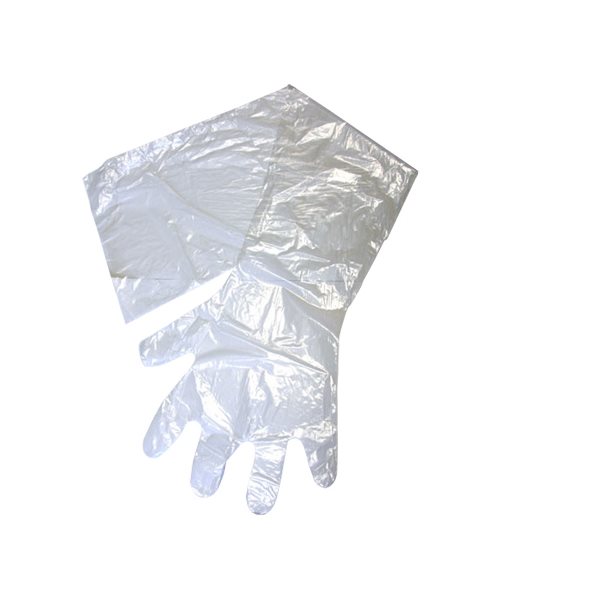 IDEAL OB / AI gloves clear, 1.25 mil. pk / 10