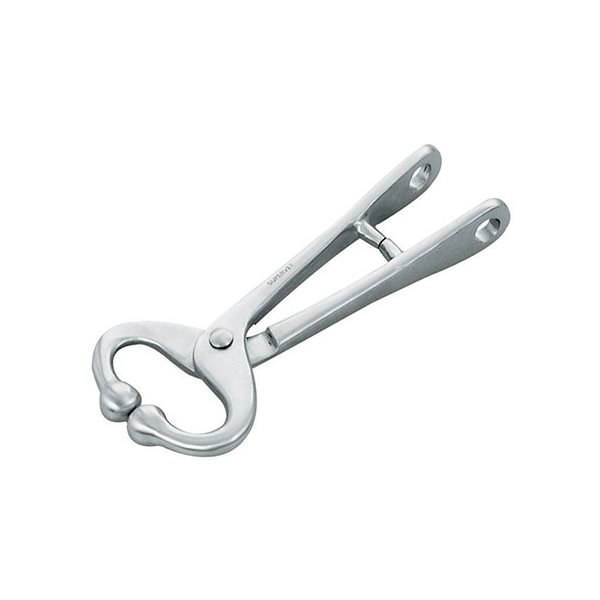 IDEAL Bull lead without chain