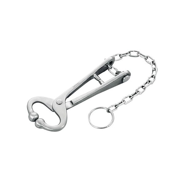 IDEAL Bull lead with chain