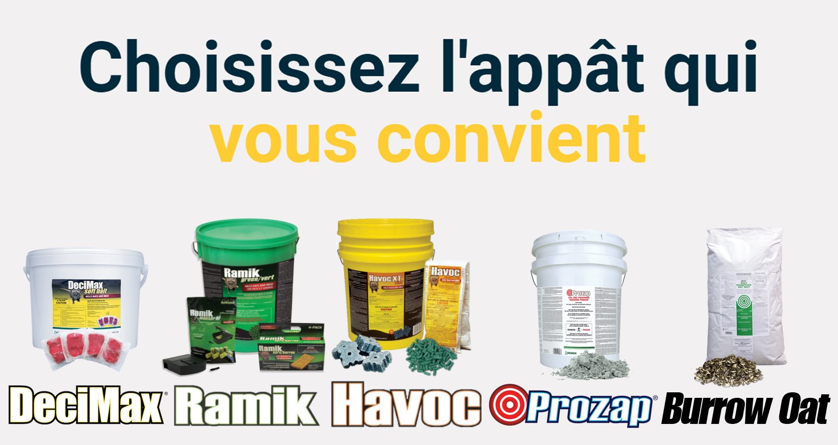 Choisir le bon rodenticide Choisir le bon rodenticide